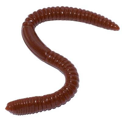 Click to get Earthworm Gummies