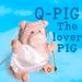 Q-PIG: the Lover Pig