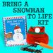 Dress a Snowman Kit